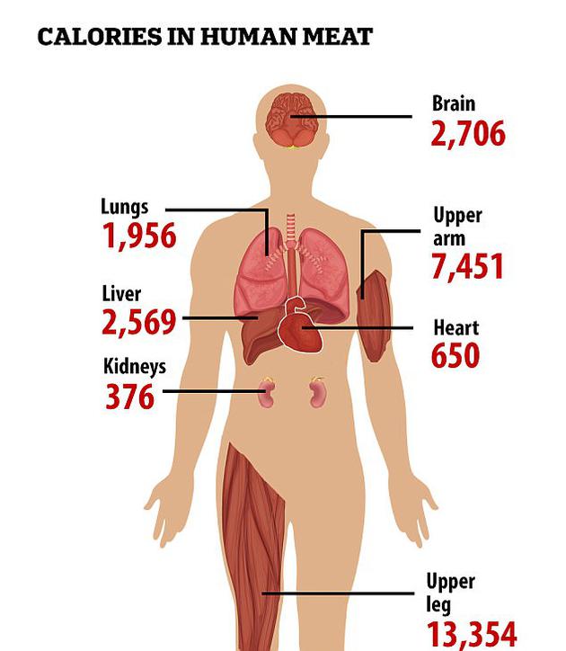 一项最新研究揭示了食用人类身体不同部位所能够获取的卡路里数量