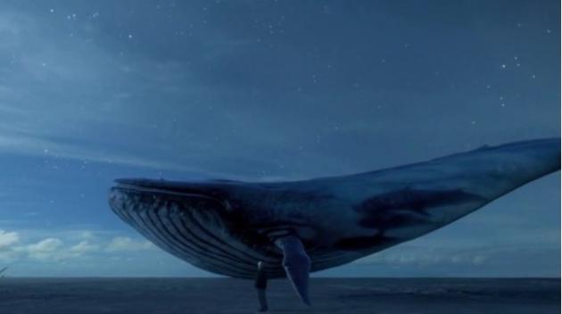 蓝鲸图片高清