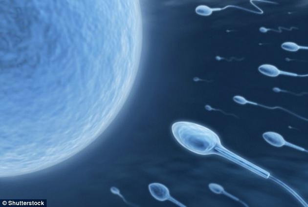 最新研究发现，精子经过太空旅行后完全有可能繁育出健康后代，这将为人类未来长期在太空中生活甚至繁育后代带来希望。