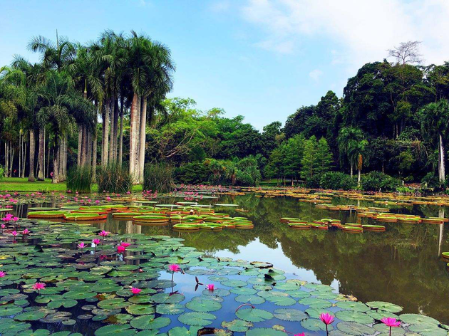 彩云之南科学追梦(云南、昆明植物研究所,天文台、动物博物馆、西双版纳热带植物研究所)
