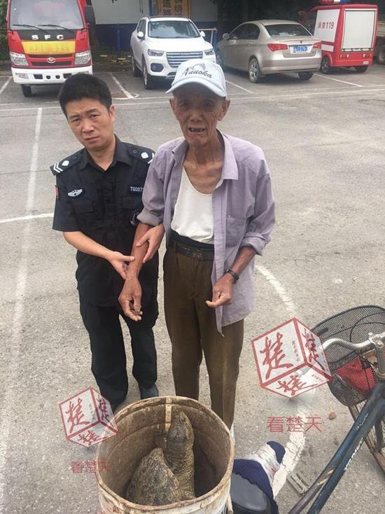 登录查看大图