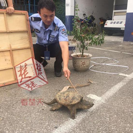 登录查看大图