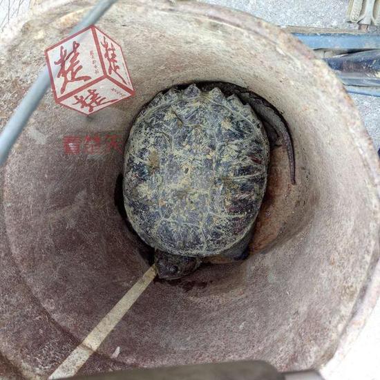 登录查看大图