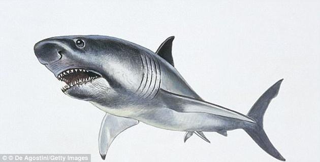 一些海牛和须鲸物种，以及巨大的巨牙鲨（Carcharocles megalodon），都在这次灭绝事件中消失了