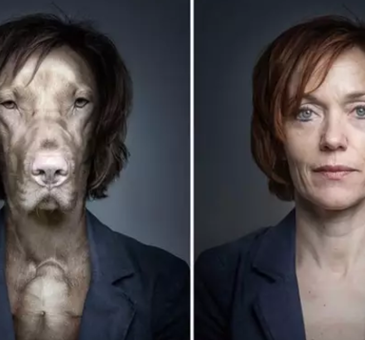 狗像主人是有科学依据的：或为寻找配偶方式的延伸狗主人配偶_新浪科技_新浪网