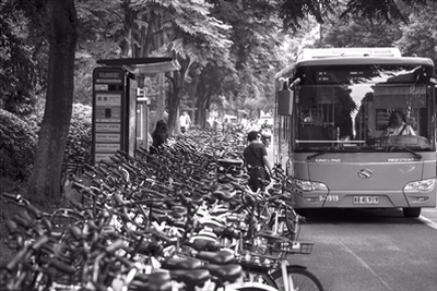 从北大保安到共享单车倒下第一人:我偏要赌