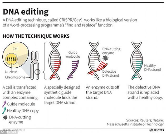 Crispr-Cas9DNA技术使用标签标识出基因突变的位置，同时一种酶可作为“微型剪刀”，在精确位置剪切DNA，从而移动小部分基因。