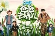 《爸爸去哪儿》停播与风波中的湖南卫视