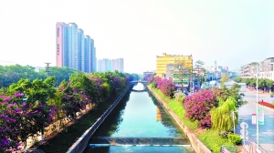 经过实地排查，永宁街已摸清永和河污染源。