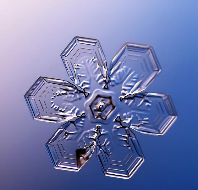 显微摄影下的雪花美轮美奂