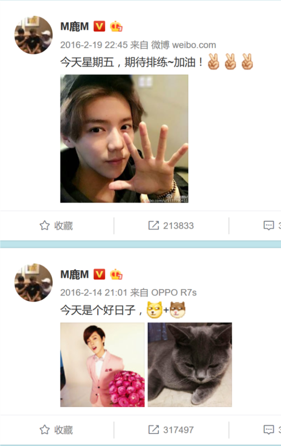 这之后就再也没用过OPPO