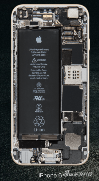 iPhone 6