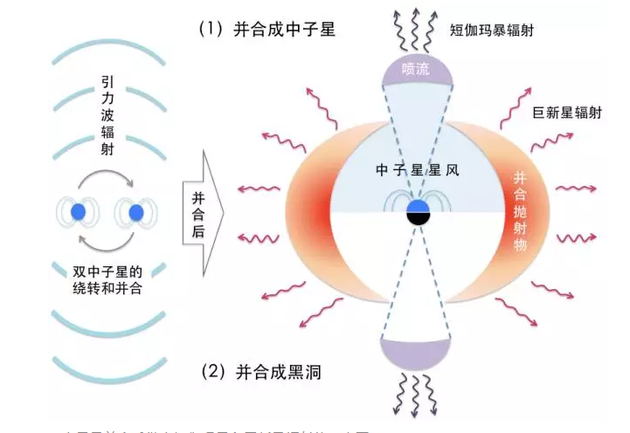 双中子星并合后发出短伽玛暴和巨新星辐射的示意图