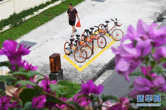 这是10月16日在新加坡拍摄的停放在规划“格子”里的共享单车。