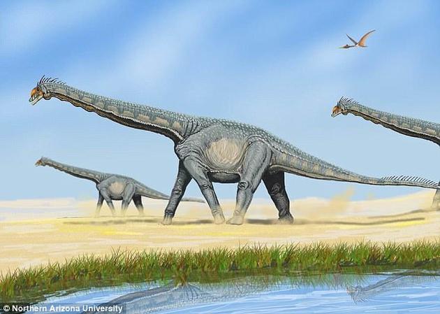 属于蜥脚类的阿拉摩龙属恐龙，生活在白垩纪的北美洲。
