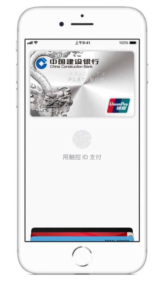 safari是什么意思中文