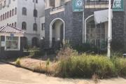 赛龙空手套白狼,装什么白莲花