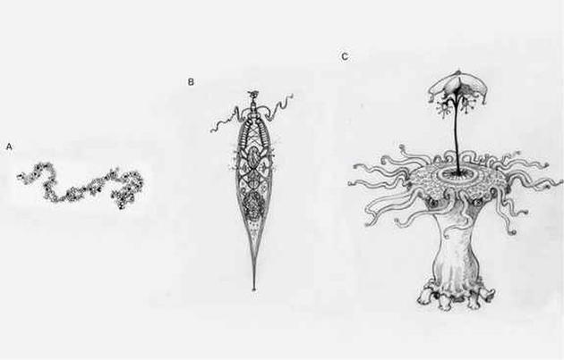 该插图代表外星生命可能经历的不同复杂程度。从没有明显结构的、简单的分子组合(A),到经历了自然选择的、类似细胞的简单生命结构(B),再到能够合作完成复杂任务的外星人(C)。