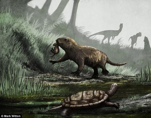 恐龙灭绝改变哺乳动物行为特征:开始白天活动