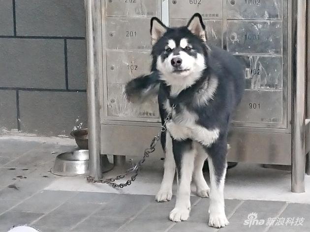 不过某些场景涂抹痕迹严重