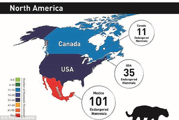 加拿大现有11种濒危生物，包括某些鼠类、蝙蝠和狼。美国则有35种，包括巨型袋鼠大鼠（giant kangaroo rat）、印第安纳蝙蝠（Indiana myotis bat）、黑足鼬、豚鹿等。