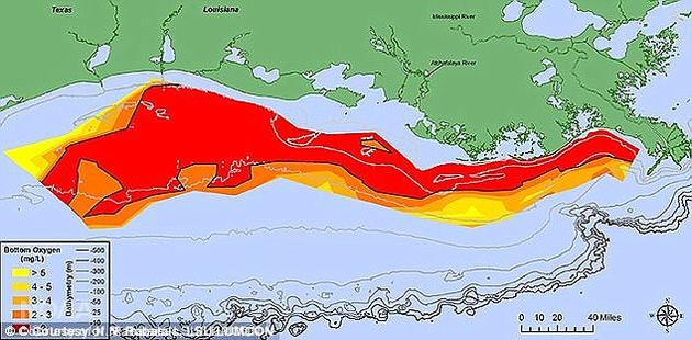 今年八月发表的一项研究指出，墨西哥湾死水区面积已达14000平方公里，为世界之最。图中深红色区域的海水含氧量最低（单位为毫克/升）。