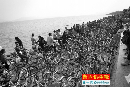今年4月3日下午，清明假期第二日，深圳湾公园被共享自行车堵个水泄不通。南都记者 霍健斌 摄