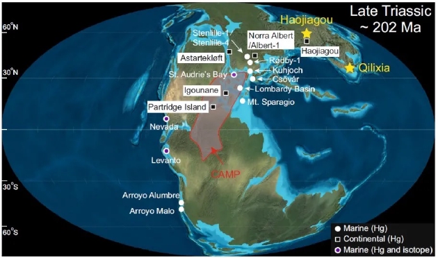 五角星代表中国准噶尔盆地和四川盆地两个剖面的古地理位置;圆圈和正