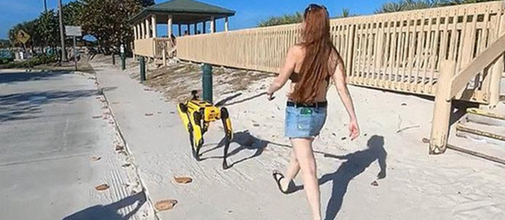 波士顿动力一只48.8万，美女沙滩遛“狗”，网友直呼：壕！
