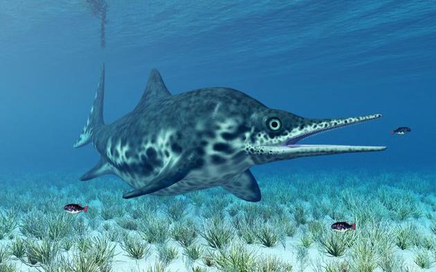 1、鱼龙是一种生活在恐龙时代的海洋爬行动物，现早已灭绝消失，它看上去像凶猛的巨型海豚，美国内华达州发现的是迄今为止第二古老的怀胎鱼龙化石。