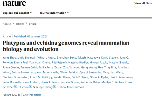 Nature：中外科学家首次重建现生哺乳动物共同祖先的基因组图谱|哺乳动物|基因组图谱