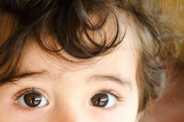 图片来源：Ali Moradmand/flickr