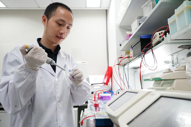 ▲杨辉在实验室进行基因编辑相关实验