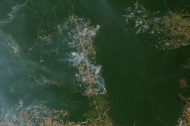 卫星正在追踪亚马逊雨林的火灾情况