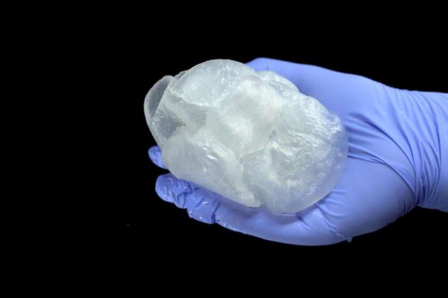 这种以海藻酸盐为原料的3D打印心脏有着和真实心脏一样的手感