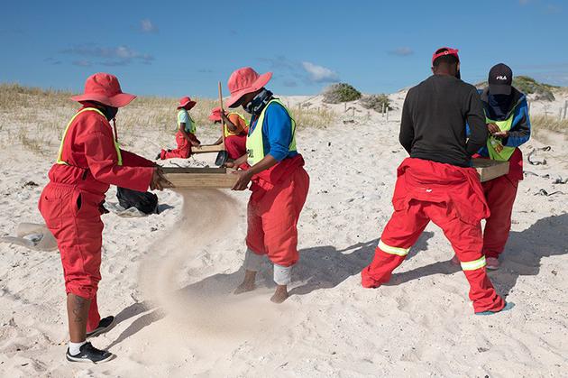 清洁工人在南非西开普的阿尼斯顿海滩收集塑料颗粒