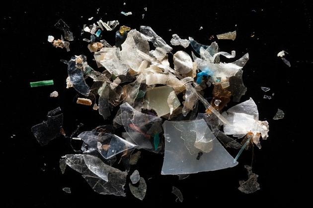 图中是在美国马里兰州Magothy河收集的塑料碎片