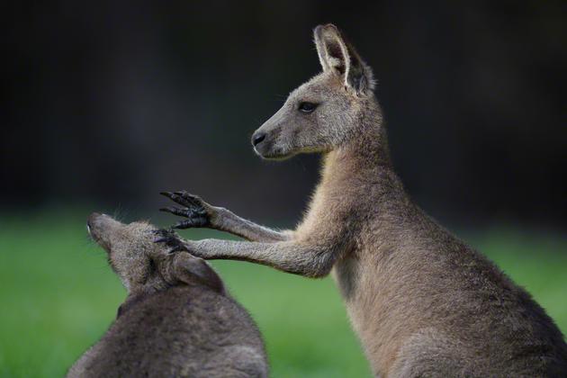 ILCE-9 + FE 400mm F2.8 GM OSS�� 1/250sec&nbsp;���� F2.8�� ISO 100