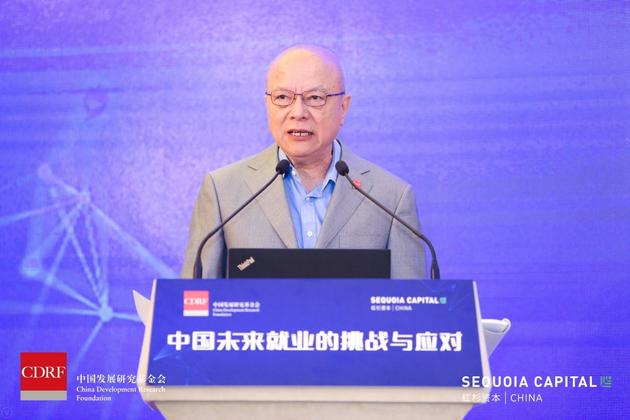 （中国发展研究基金会副理事长兼秘书长卢迈）