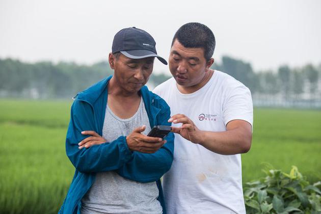 五十多岁的农户(左边)在学习使用智能手持终端,图片来自:极飞