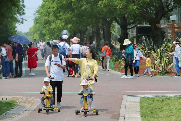 5月2日，江苏南通，众多进行短途游、本地游的游客来到南通洲际绿博园，畅游梯田花海、沙生植物馆等美丽景观。  图/视觉中国