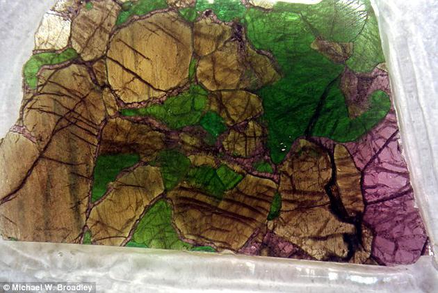 研究人员分析了岩石圈中地幔捕虏体（如图）——被经过的熔岩捕获并喷发到地球表面——的化学组成。
