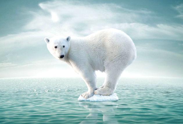 减排几十年内或难改变全球气温 《自然-通讯》论文自然-通讯气候变化减排