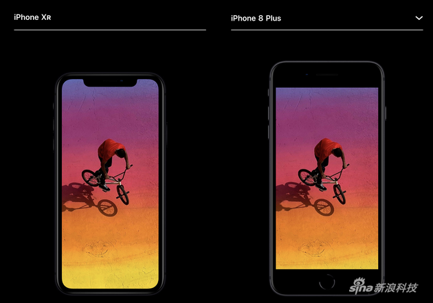 iPhone XR跟iPhone 8 Plus大小对比(图片来自苹果官网)