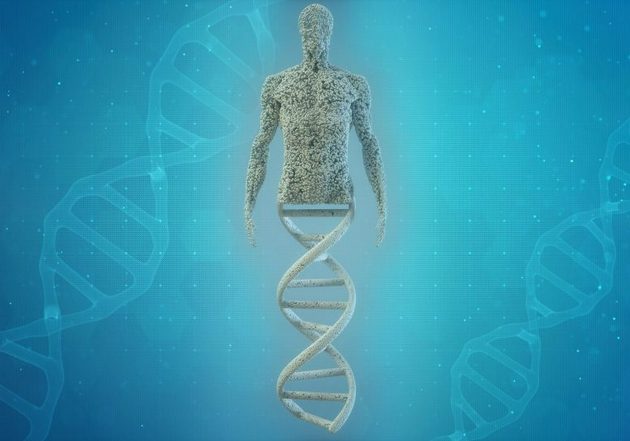 是什么让我们成为人类？答案就在“垃圾DNA”中|DNA|答案|干细胞