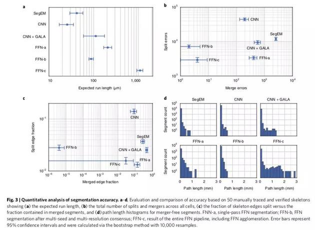 图3：分割精度的定量分析