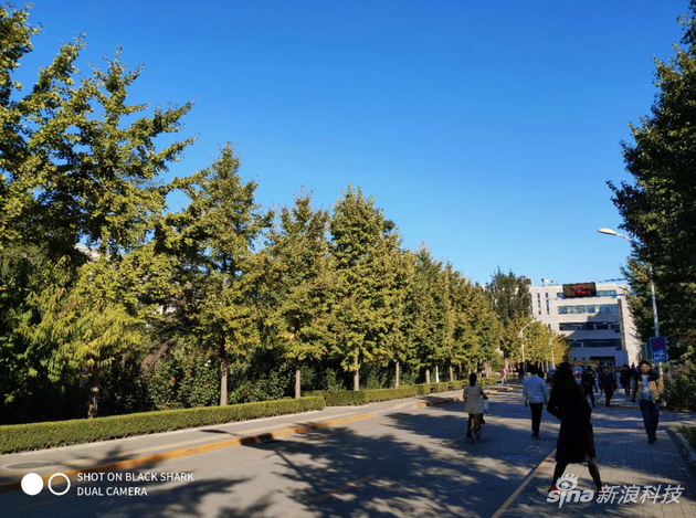 黑鲨手机Helo上手:加上RGB跑马灯性能提升10