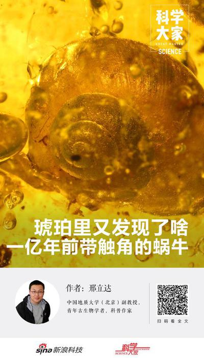 科学大家琥珀里又发现了啥？一亿年前带触角的蜗牛琥珀恐龙蜗牛