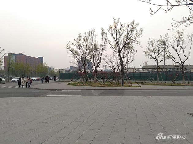 阴天样张