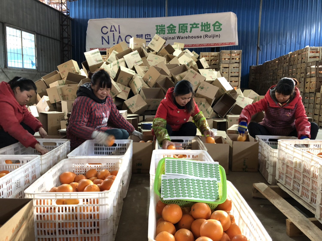 瑞金革命老区的农户在菜鸟产地仓内拣选脐橙